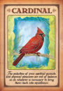 Alternative view 5 of Messages from Your Animal Spirit Guides Oracle Cards: A 44-Card Deck and Guidebook!