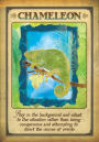 Alternative view 7 of Messages from Your Animal Spirit Guides Oracle Cards: A 44-Card Deck and Guidebook!