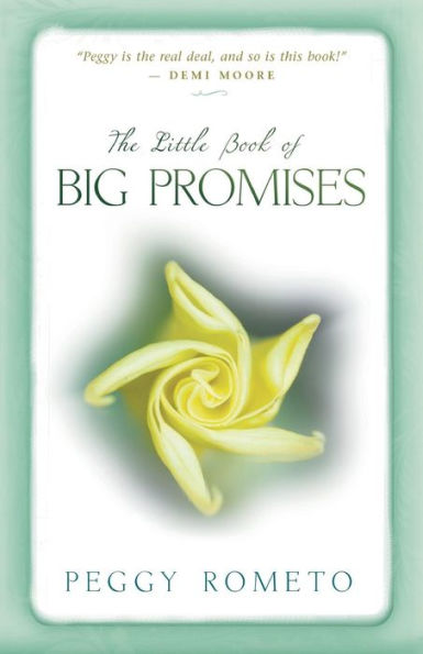 The Little Book of Big Promises
