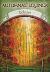 Alternative view 3 of Earth Magic Oracle Cards: A 48-Card Deck and Guidebook