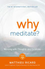 Why Meditate?: Working with Thoughts and Emotions