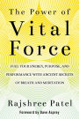 The Power of Vital Force: Fuel Your Energy, Purpose, and Performance with Ancient Secrets of Breath and Meditation