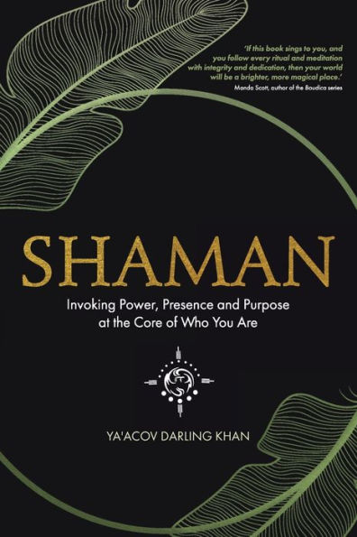 Shaman: Invoking Power, Presence and Purpose at the Core of Who You Are