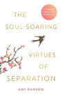 The Soul-Soaring Virtues of Separation: 111 Learnings to Heal Your Heart and Help You Fly