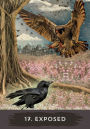 Alternative view 6 of Urban Crow Oracle: A 54-Card Deck and Guidebook