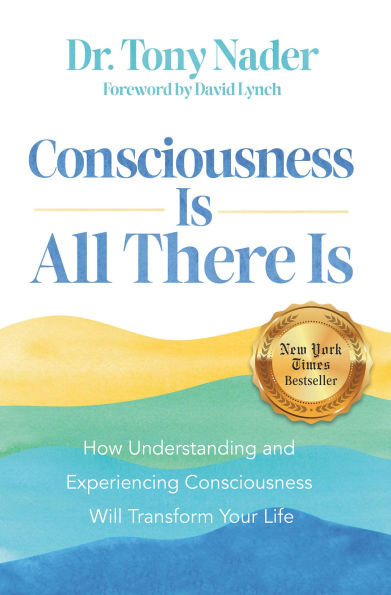 Consciousness Is All There Is: How Understanding and Experiencing Will Transform Your Life