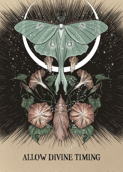 Fated: A Pocket Love Oracle: A 13-Card Deck and Guidebook