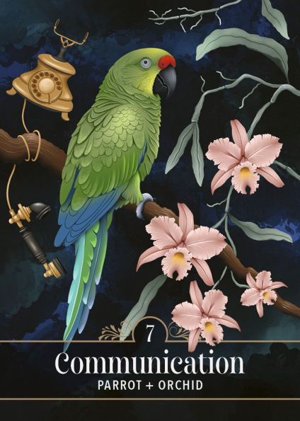 The Familiar Magic Pocket Oracle: A 44-Card Deck and Guidebook