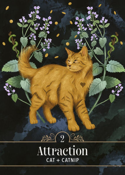 The Familiar Magic Pocket Oracle: A 44-Card Deck and Guidebook