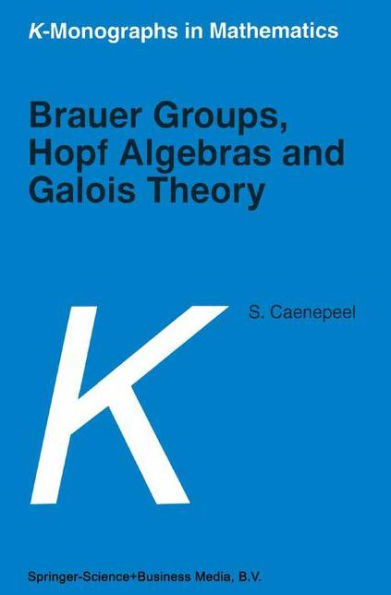 Brauer Groups, Hopf Algebras and Galois Theory