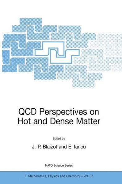 QCD Perspectives on Hot and Dense Matter / Edition 1