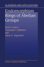 Endomorphism Rings of Abelian Groups / Edition 1