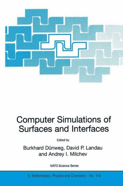 Computer Simulations of Surfaces and Interfaces / Edition 1