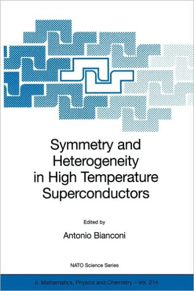 Symmetry and Heterogeneity in High Temperature Superconductors / Edition 1