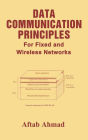 Data Communication Principles: For Fixed and Wireless Networks / Edition 1