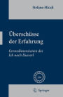 Überschüsse der Erfahrung: Grenzdimensionen des Ich nach Husserl / Edition 1