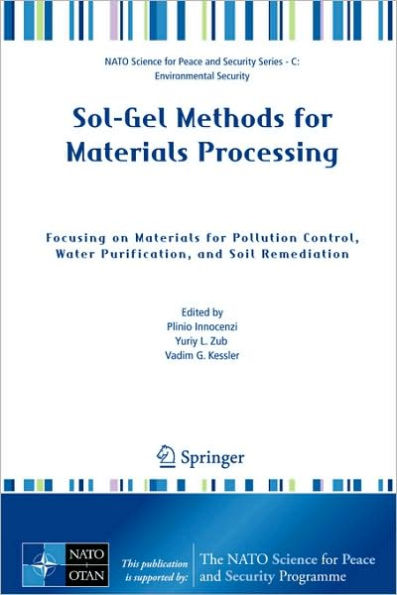 Sol-Gel Methods for Materials Processing: Focusing on Materials for Pollution Control, Water Purification, and Soil Remediation / Edition 1