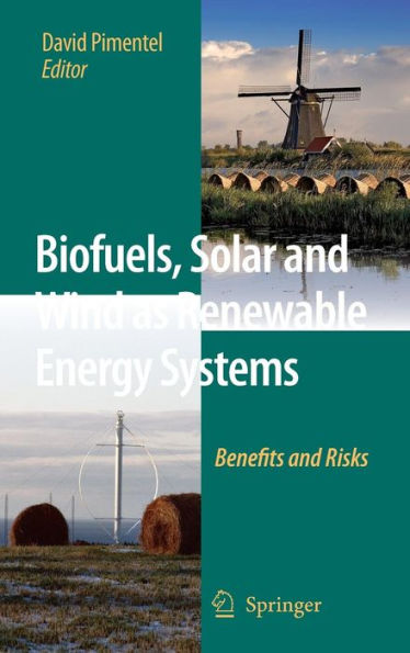 Biofuels, Solar and Wind as Renewable Energy Systems: Benefits and Risks / Edition 1