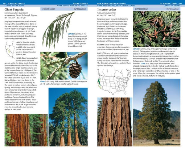 National Wildlife Federation Field Guide to Trees of North America by ...