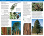 Alternative view 5 of National Wildlife Federation Field Guide to Trees of North America