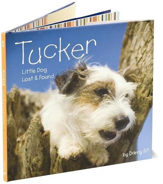 Tucker: Little Dog Lost & Found