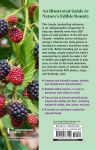Alternative view 15 of Edible Wild Plants: A North American Field Guide to Over 200 Natural Foods