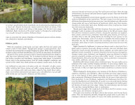 Alternative view 16 of Edible Wild Plants: A North American Field Guide to Over 200 Natural Foods
