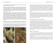 Alternative view 21 of Edible Wild Plants: A North American Field Guide to Over 200 Natural Foods