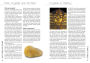 Alternative view 4 of The Complete Crystal Handbook: Your Guide to More than 500 Crystals