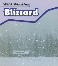 Title: Blizzard, Author: Catherine Chambers