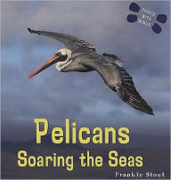 Title: Pelicans, Author: Frankie Stout