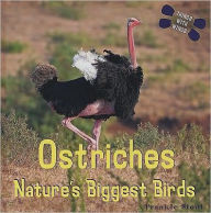 Title: Ostriches, Author: Frankie Stout