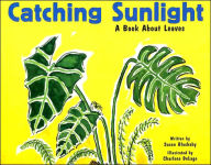 Title: Catching Sunlight: A Book About Leaves, Author: Susan Blackaby