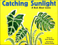 Catching Sunlight: A Book About Leaves