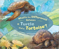 Title: What's the Difference Between a Turtle and a Tortoise?, Author: Trisha Speed Shaskan