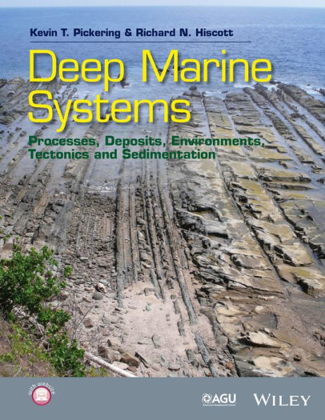Deep Marine Systems: Processes, Deposits, Environments, Tectonics and Sedimentation / Edition 1