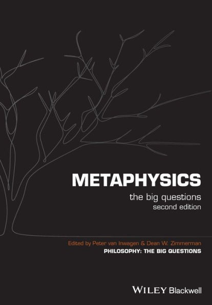 Metaphysics: The Big Questions / Edition 2