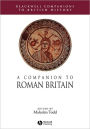 A Companion to Roman Britain / Edition 1