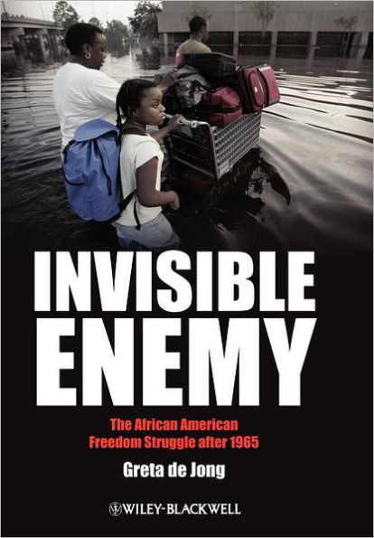 Invisible Enemy: The African American Freedom Struggle after 1965 / Edition 1
