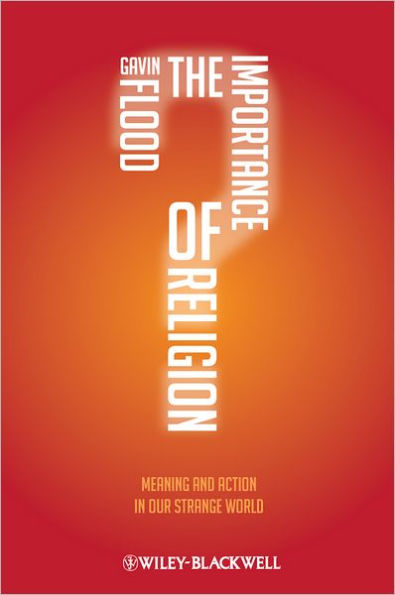 The Importance of Religion: Meaning and Action in our Strange World / Edition 1