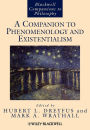 Alternative view 3 of A Companion to Phenomenology and Existentialism / Edition 1