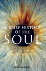 A Brief History of the Soul / Edition 1