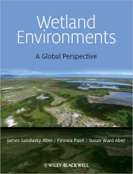 Title: Wetland Environments: A Global Perspective / Edition 1, Author: James S. Aber