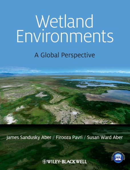 Wetland Environments: A Global Perspective / Edition 1