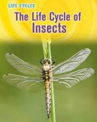 Title: Life Cycle of Insects, Author: Susan H. Gray