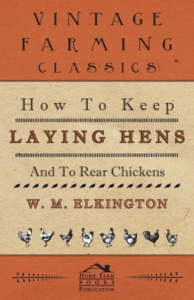 How to Keep Laying Hens and Rear Chickens