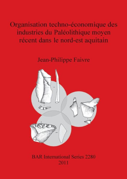 Organisation techno-economique des industries du Paleolithique moyen recent dans le nord-est aquitain