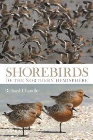 Title: Shorebirds of the Northern Hemisphere, Author: Richard Chandler