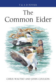 Title: The Common Eider, Author: Chris Waltho