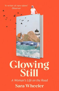 Download free account books Glowing Still 9781408716731 English version ePub CHM iBook